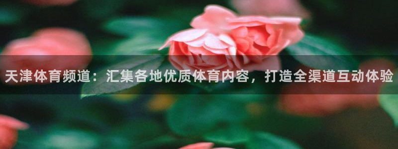 乐球直播app下载：天津体育频道：汇集各地优质体育内容，打造全渠道互动体验