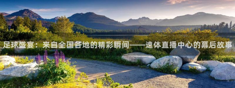 nba直播乐球吧：足球盛宴：来自全国各地的精彩瞬间——速体直播中心的幕后故事