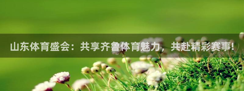 乐球直播雨燕直播：山东体育盛会：共享齐鲁体育魅力，共赴精彩赛事!