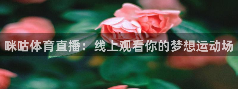 360乐球体育直播在线观看：咪咕体育直播：线上观看你的梦想运动场