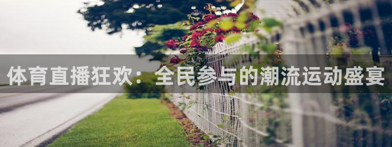 直播乐球：体育直播狂欢：全民参与的潮流运动盛宴