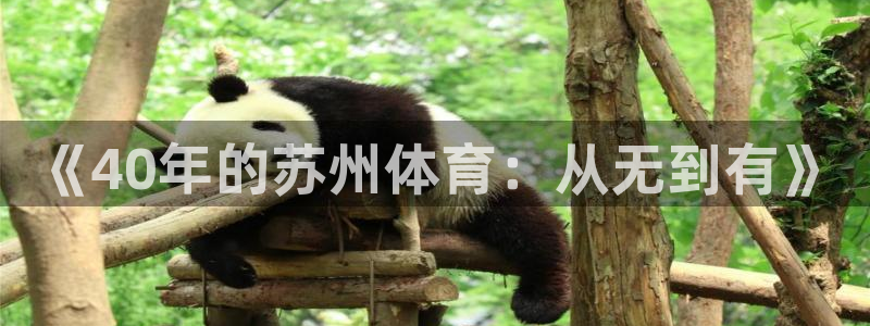 nba乐球直播：《40年的苏州体育：从无到有》