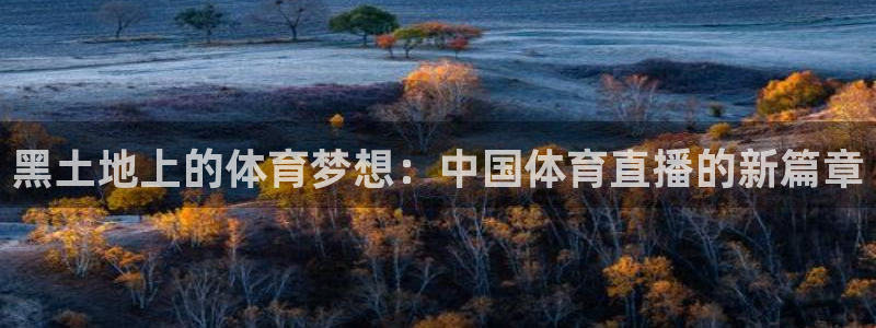 nba赛程乐球直播在线观看视频：黑土地上的体育梦想：中国体育直播的新篇章