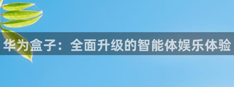 乐球免费直播吧：华为盒子：全面升级的智能体娱乐体验