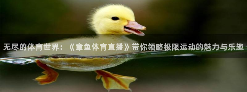 乐球直播nba无插件高清看球：无尽的体育世界：《章鱼体育直播》带你领略极限运动的魅力与乐趣