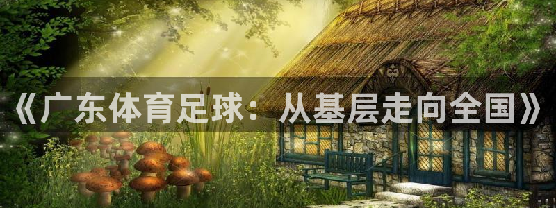 乐球直播(免费版)：《广东体育足球：从基层走向全国》