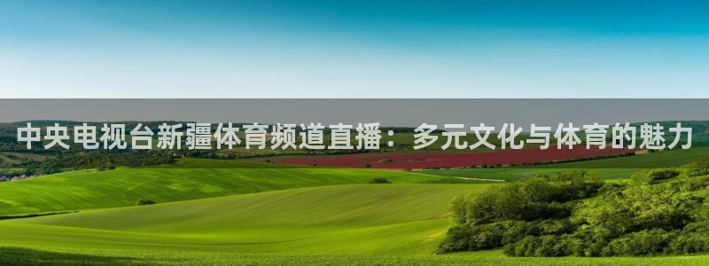 乐球直播足球：中央电视台新疆体育频道直播：多元文化与体育的魅力