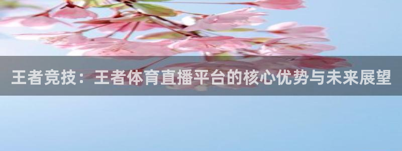 nba直播吧乐球直播：王者竞技：王者体育直播平台的核心优势与未来展望