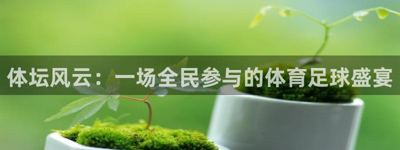 乐球吧jrs低调直播：体坛风云：一场全民参与的体育足球盛宴